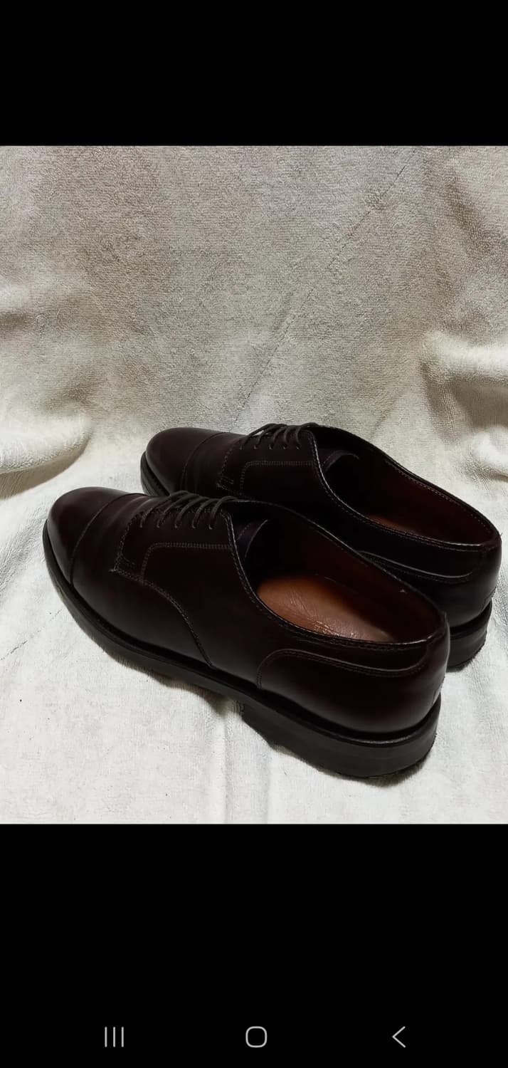 [판매] Alden 973 알든 973 카프 스트레이트 팁 블러처 8d 상품이미지5