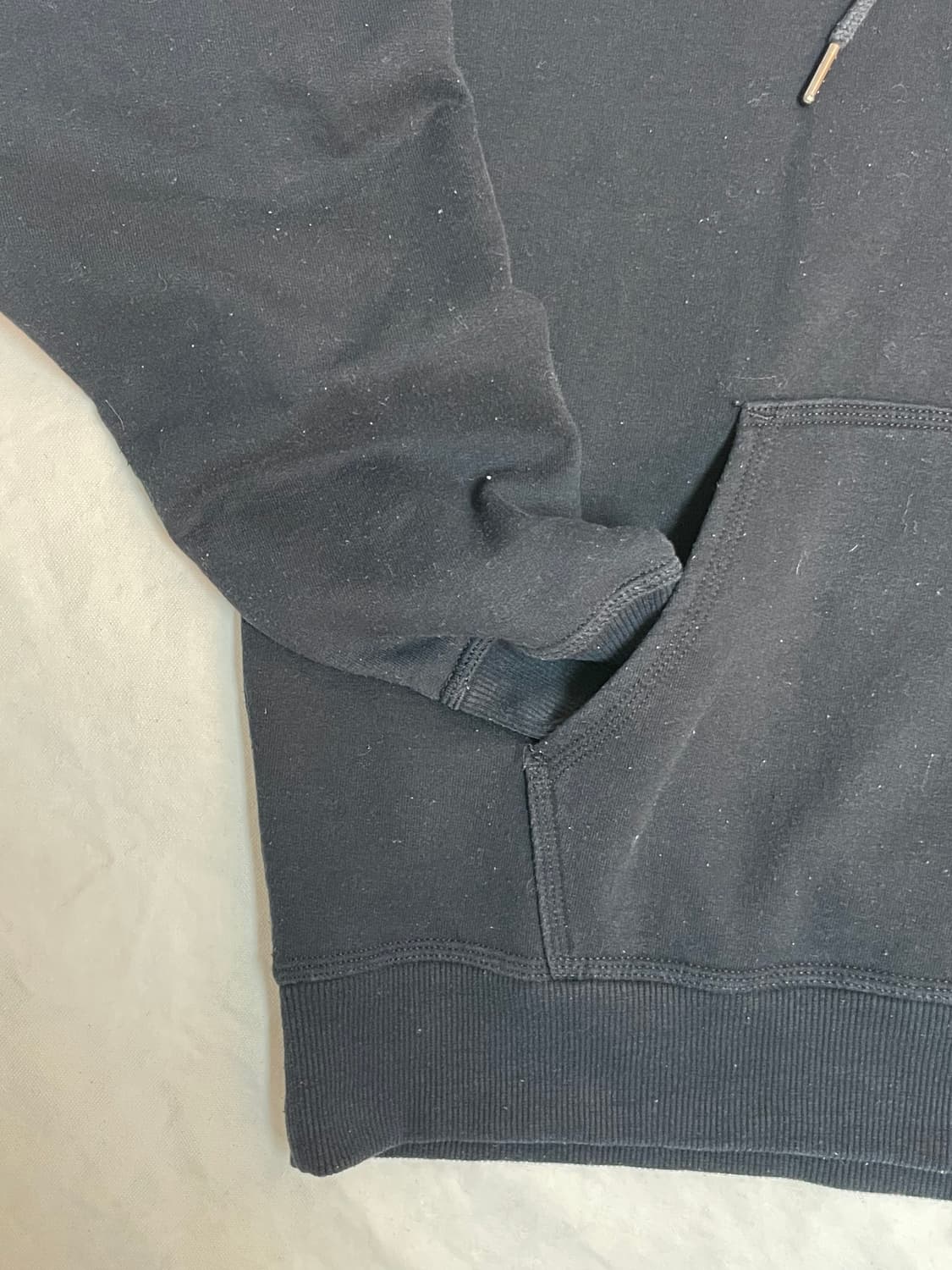 챔피온 후드티 상품이미지3