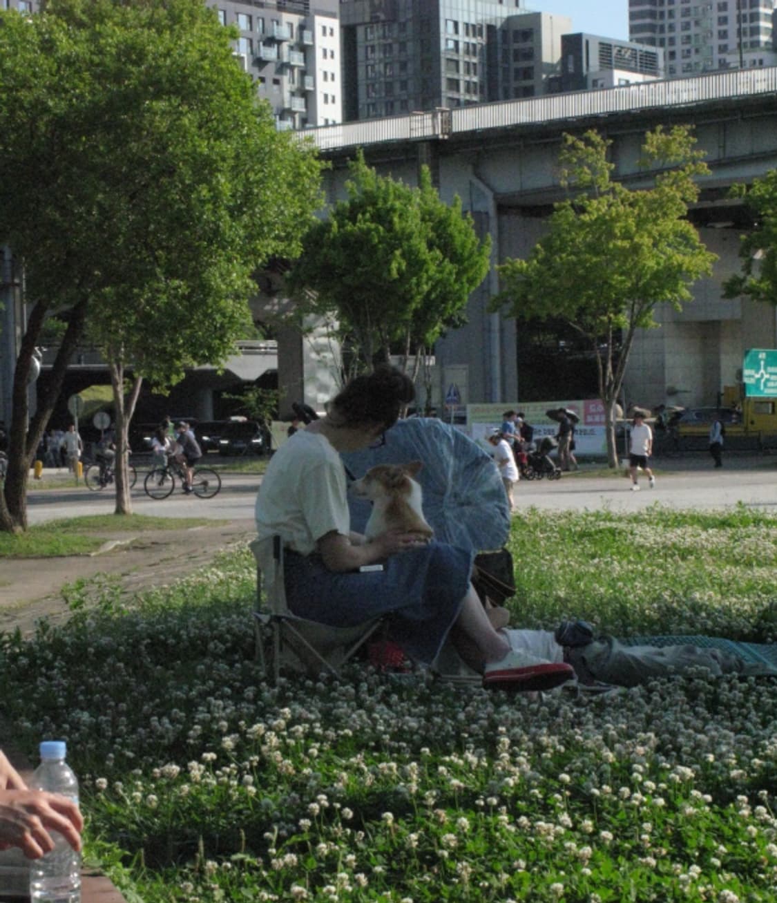 풀박 신품급 캐논 G7 빈티지 디지털 카메라 작례O  상품이미지10