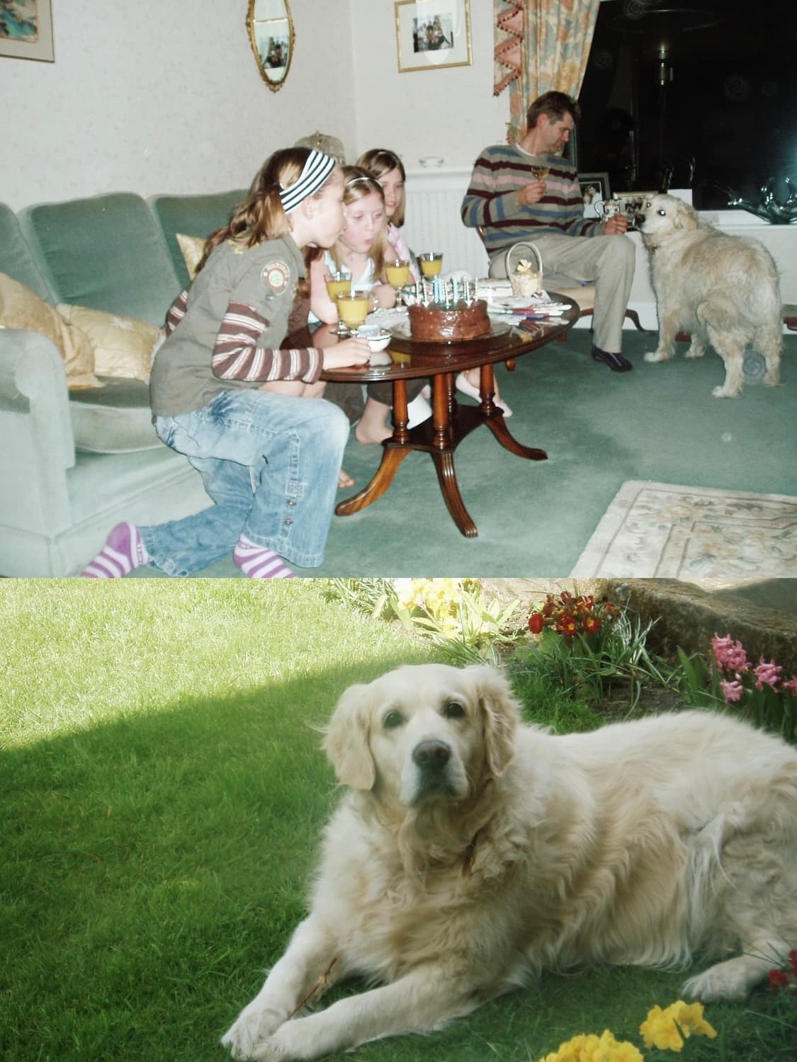 Kodak M873 상품이미지2