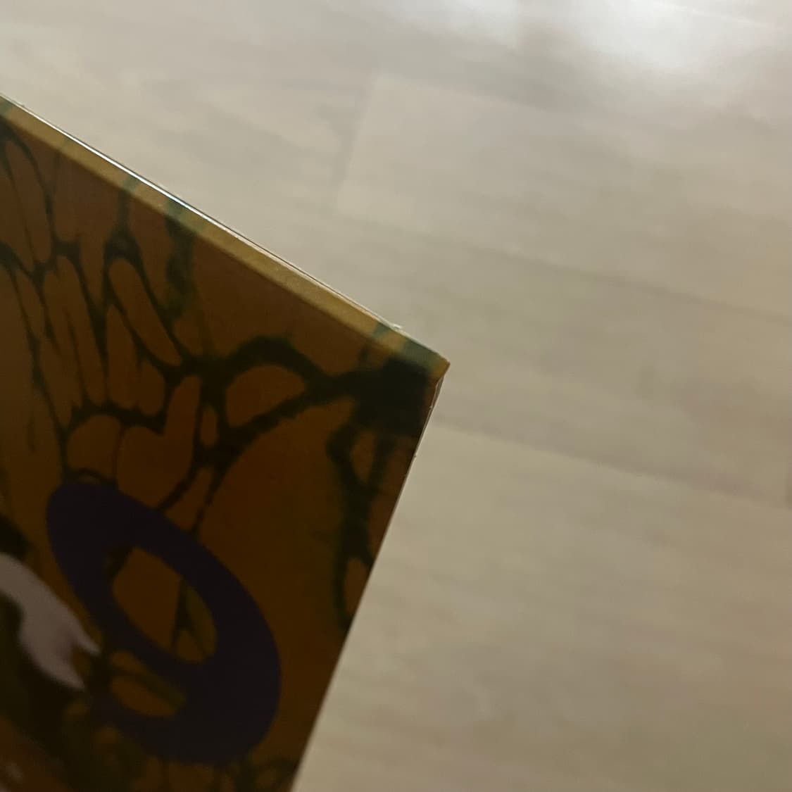 Joey Bada$$ 1999 lp vinyl 상품이미지5