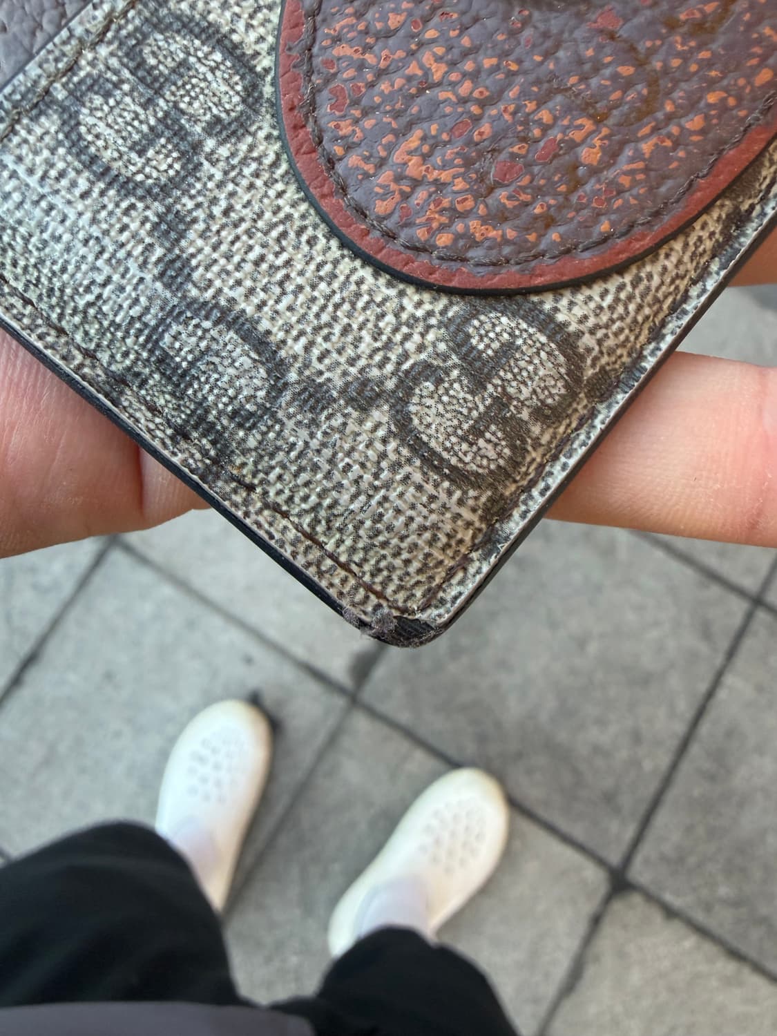 구찌 카드지갑 네오 빈티지 상품이미지3