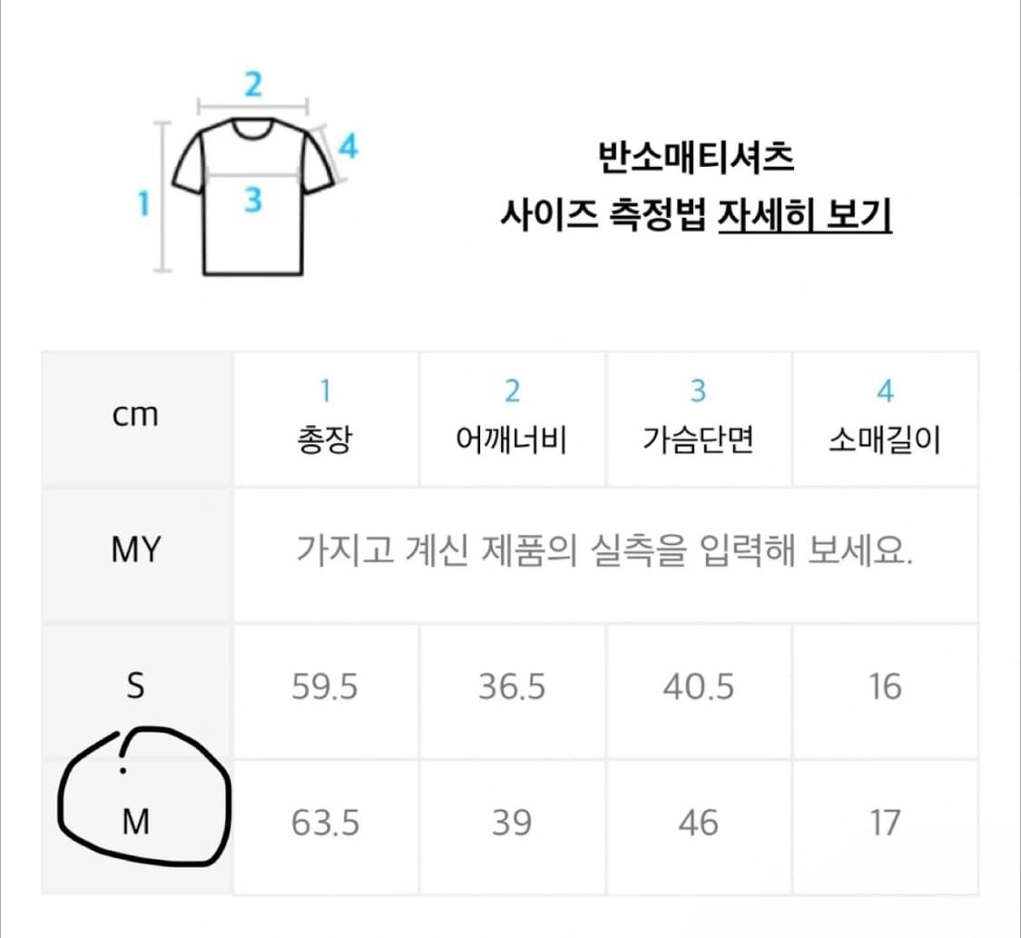 엔조블루스 반팔 상품이미지2