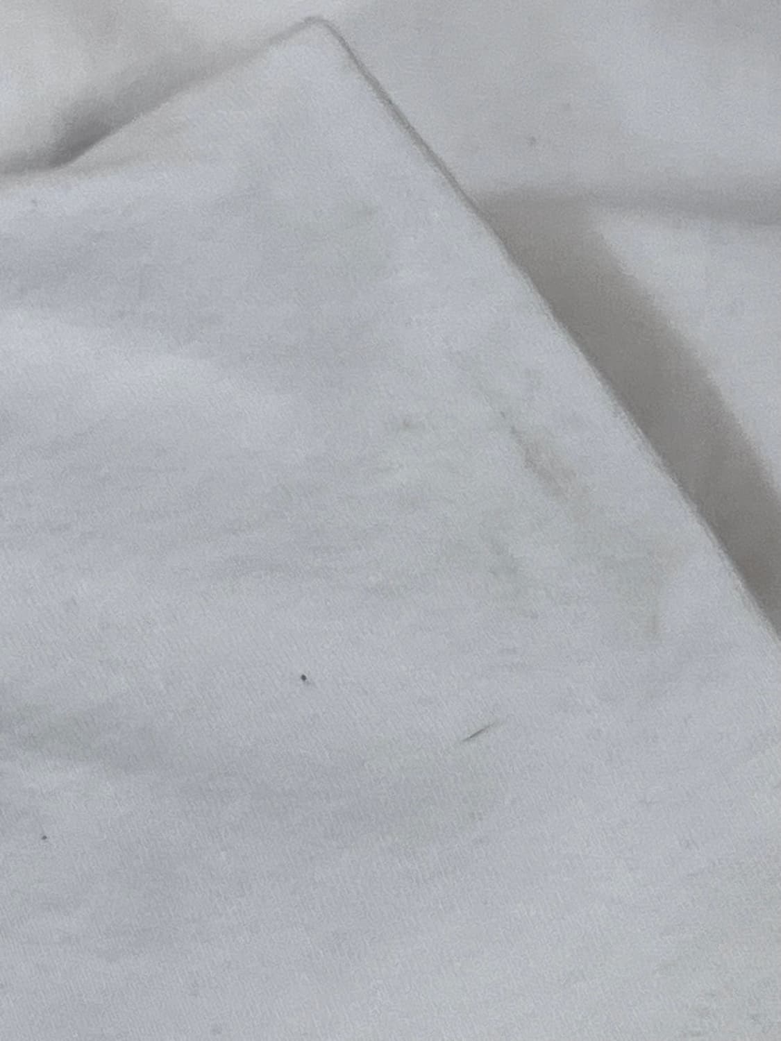 Lee 빅로고 반팔 티셔츠 화이트 M #csz3020 상품이미지7