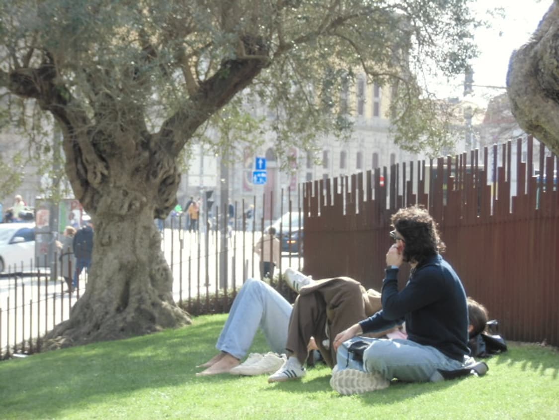 (소프트포커스) 니콘 쿨픽스 s2700 디지털카메라 빈티지디카 상품이미지9