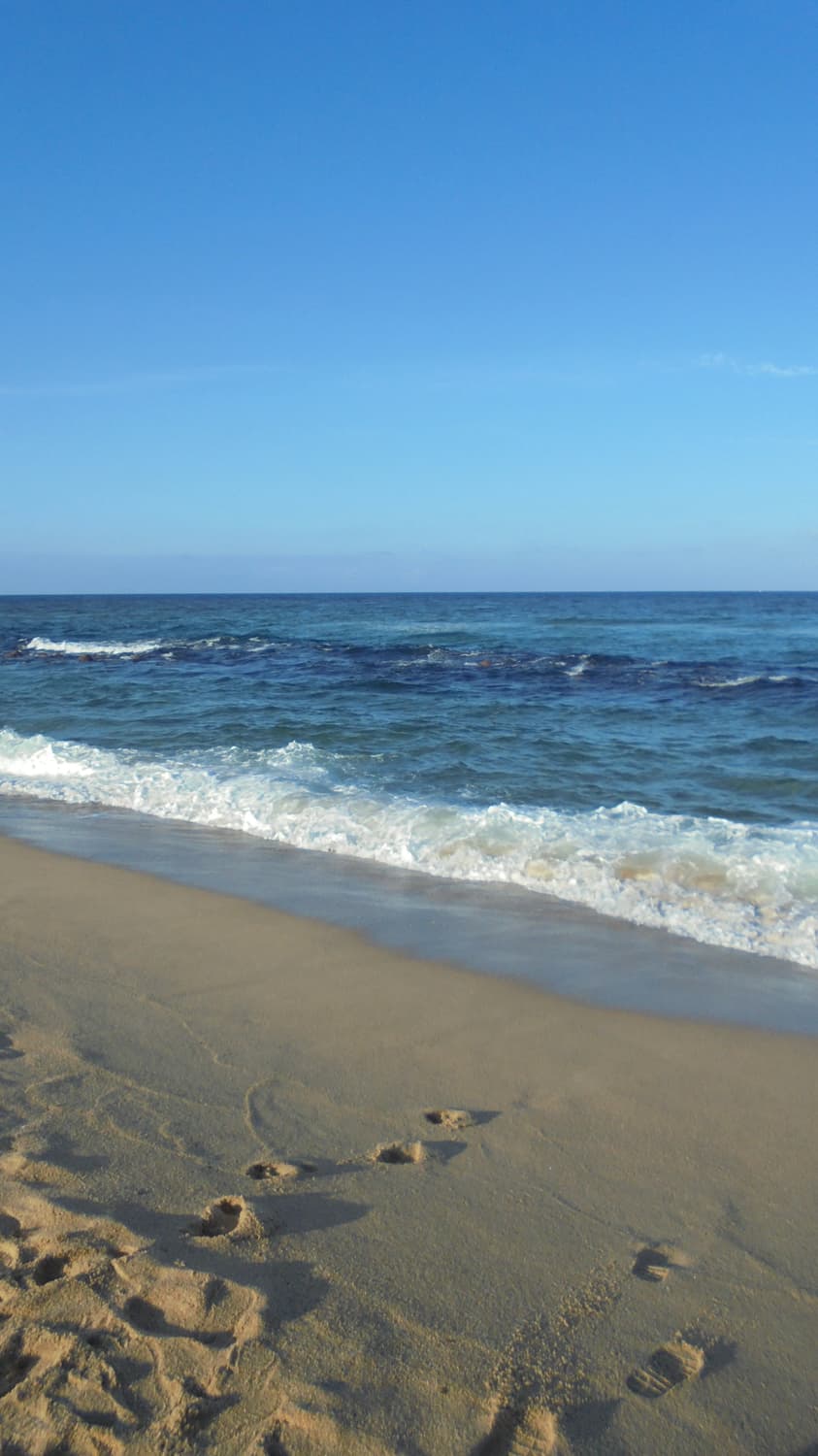 Sony Cyber-shot DSC-W810 소니 사이버샷 상품이미지8