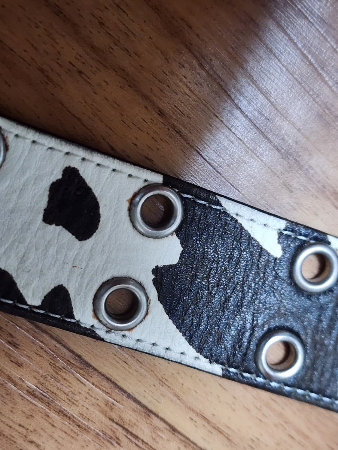 카미엔 벨트 오레오 상품이미지3