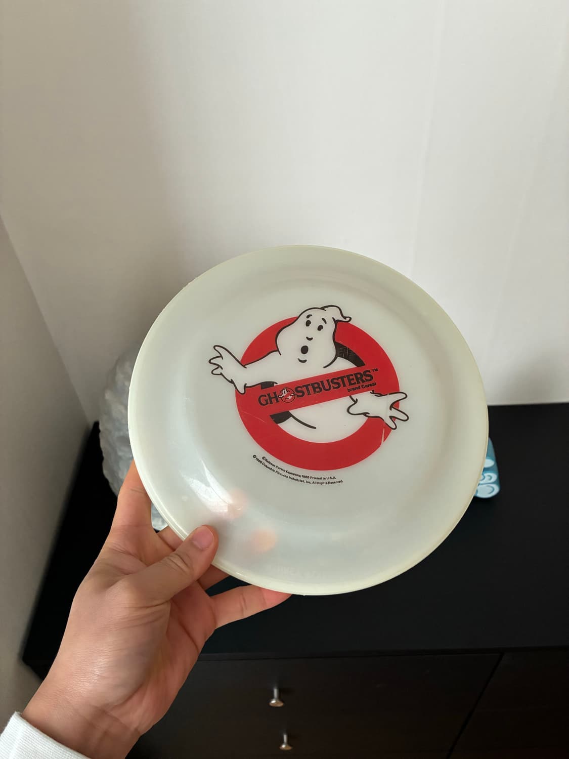 GHOST⭐️야광 플라잉디스크  (Flying Disc) 상품이미지2