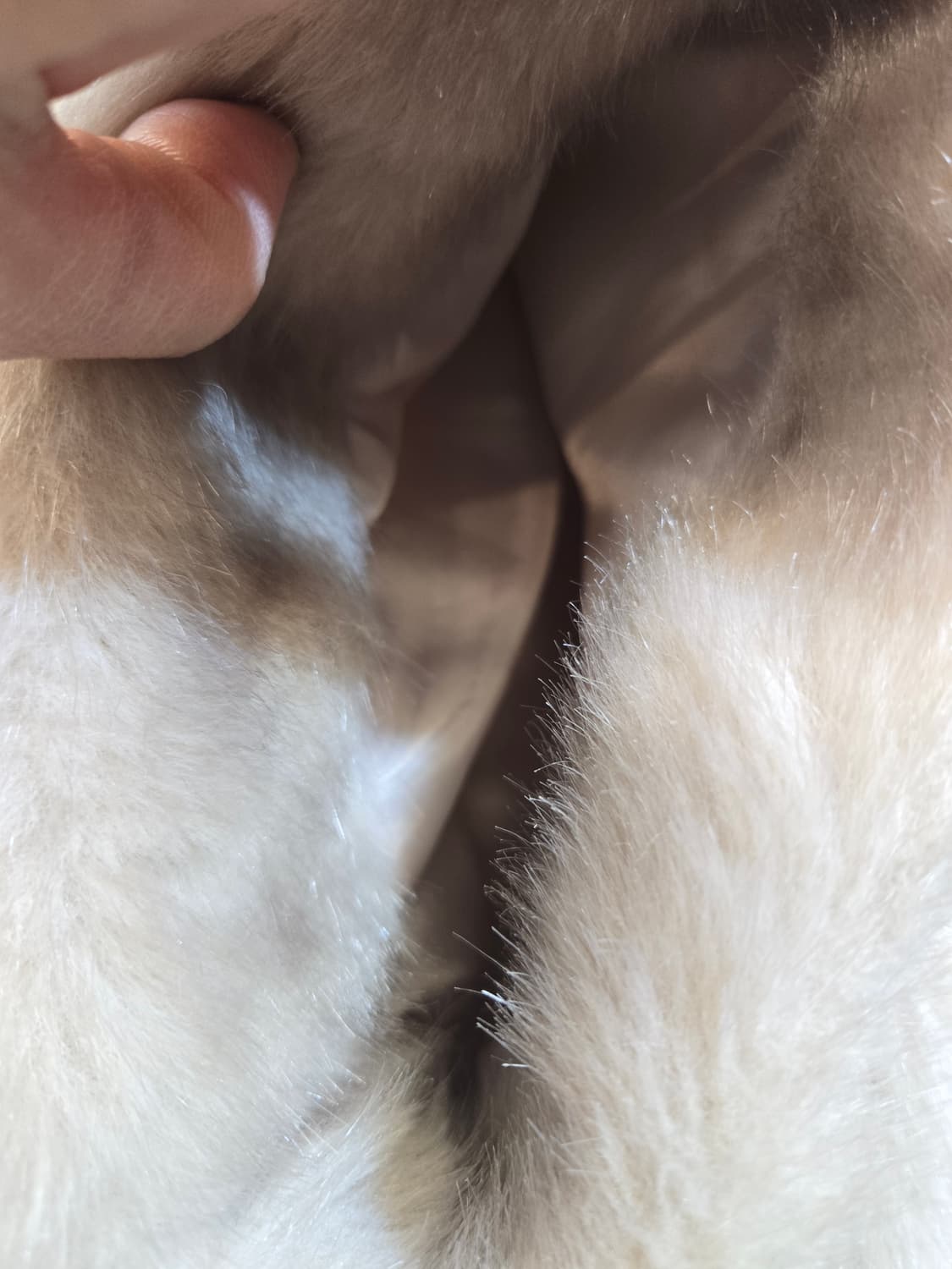 Double J 베이지 퍼 자켓 상품이미지4