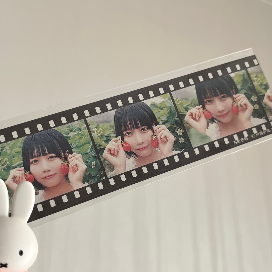 아노 ano 아노쨩 사진집 한정판 특전 필름 책갈피 상품이미지2