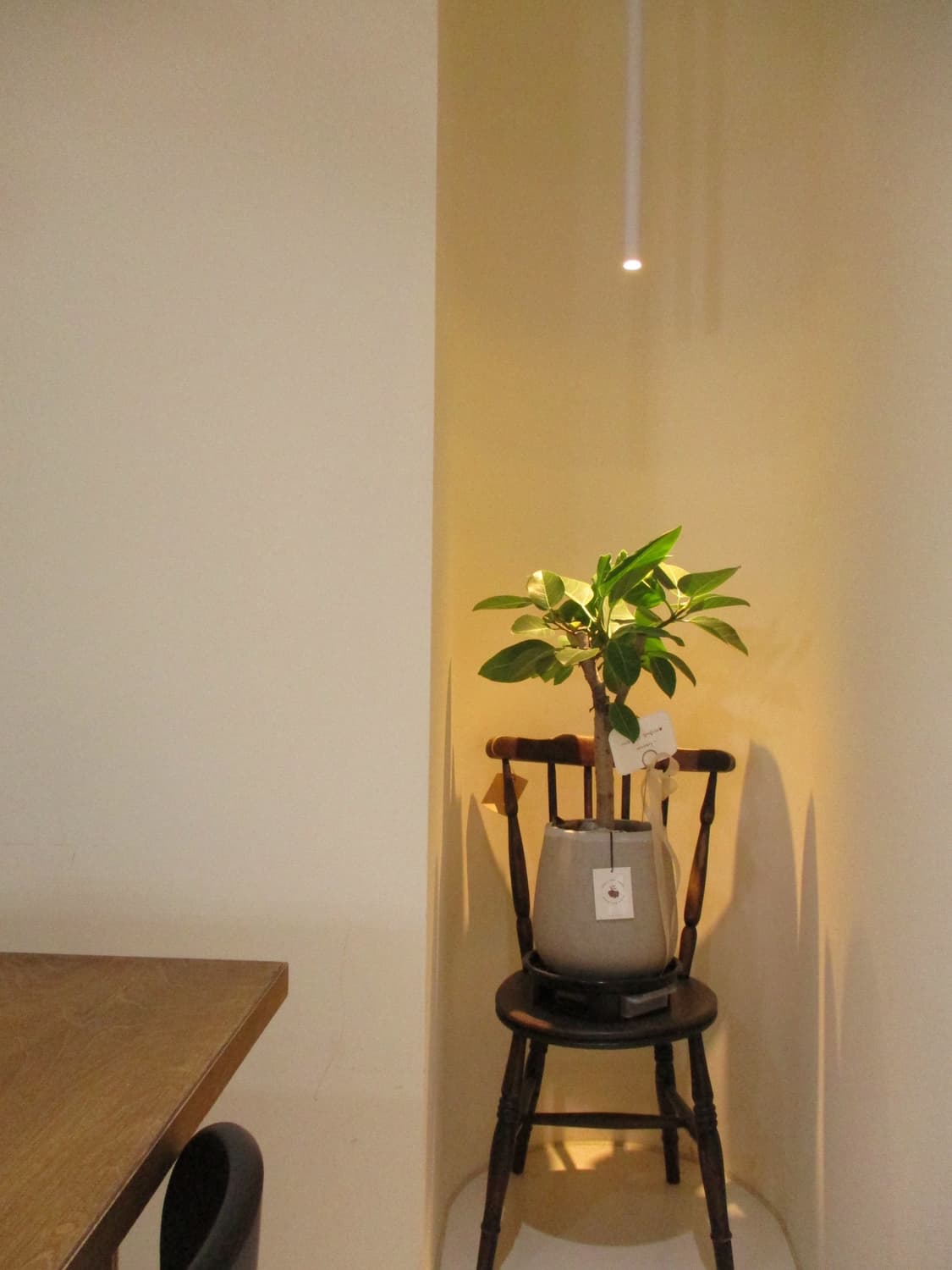 작례⭕️ 캐논 익서스 175 새상품급 판매( 풀박스) 상품이미지10