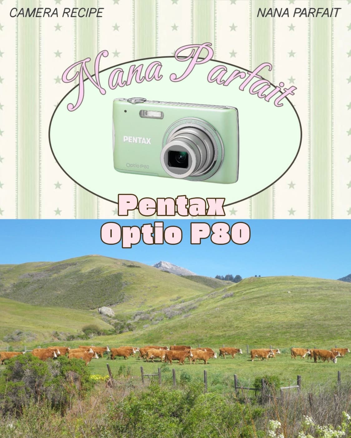 작례있음,풀박스🍀 펜탁스 옵티오 p80 / Pentax Optio 상품이미지1