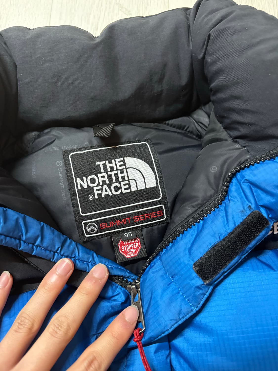 The North Face 서밋 시리즈 700 다운 자켓  상품이미지2