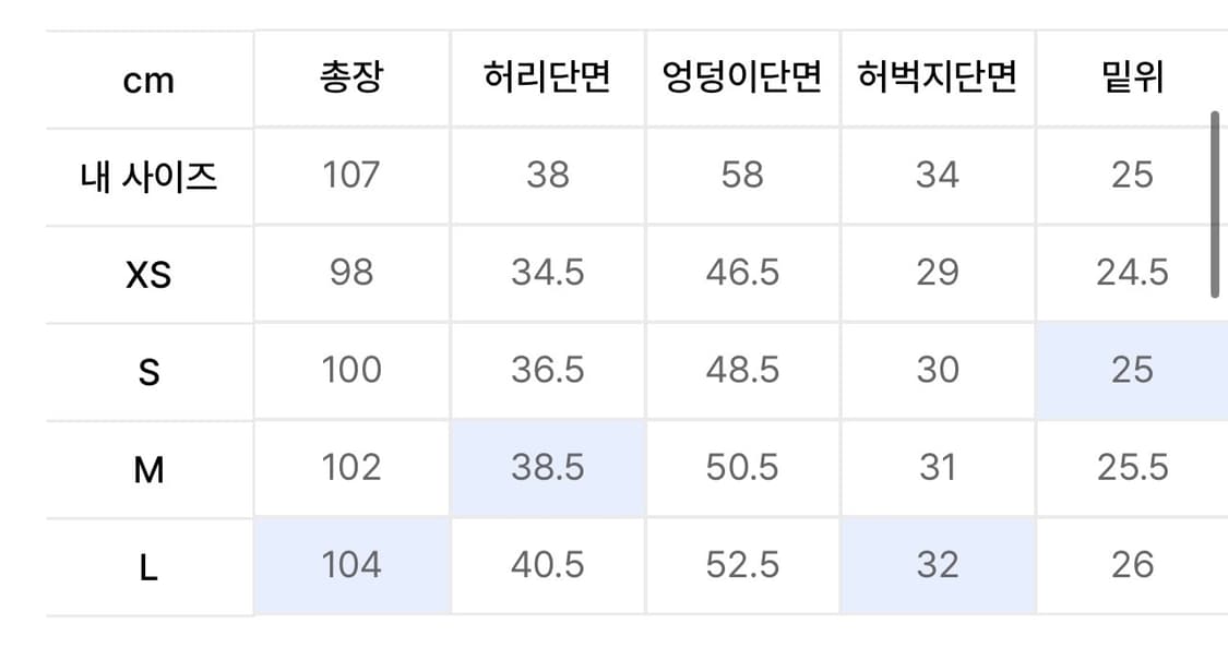 스컬프터 핀턱 팬츠 L 상품이미지3