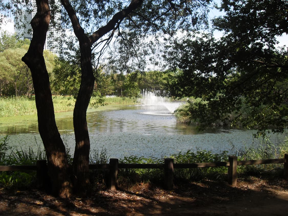 (풀구성) Samsung VLUU L200 digital camera 상품이미지8