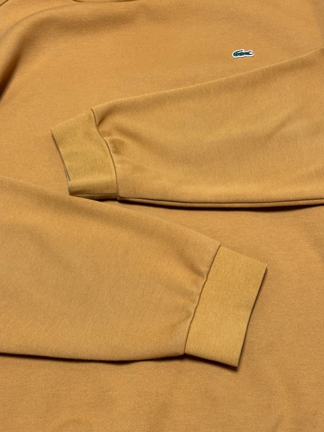 라코스테 LACOSTE 동일드방레 신형 베이직 맨투맨 머스타드 상품이미지5