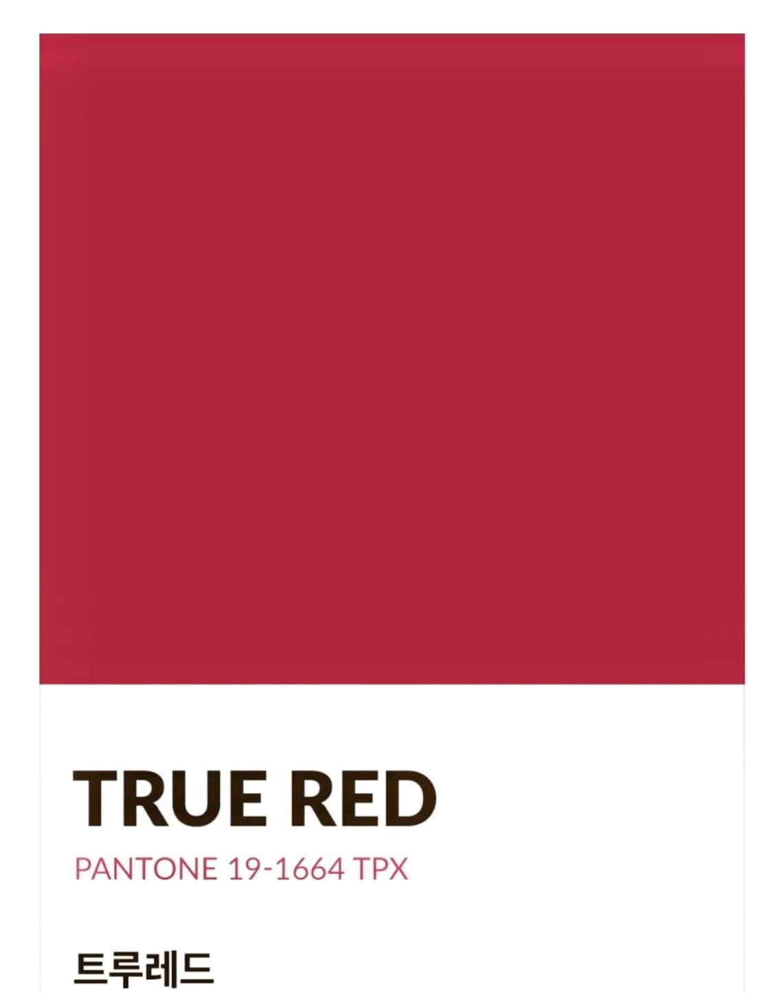 프랭키비키니 세트 S 상품이미지7