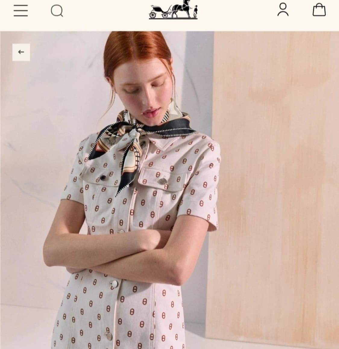 [새상품 25SS] 에르메스 스카프 까레 70 부케 셀리에 04 상품이미지6