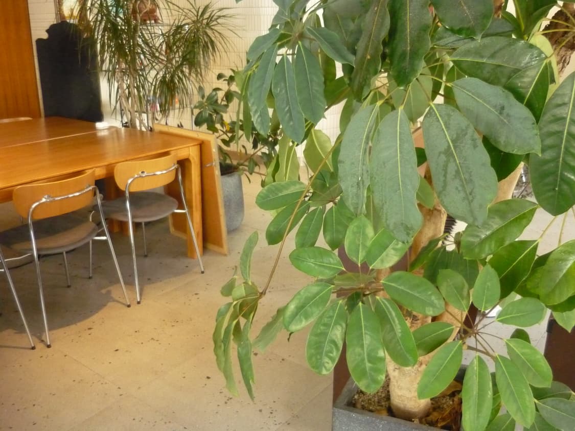 [작례 O] 파나소닉 루믹스 dmc fs3 디지털 카메라 상품이미지9