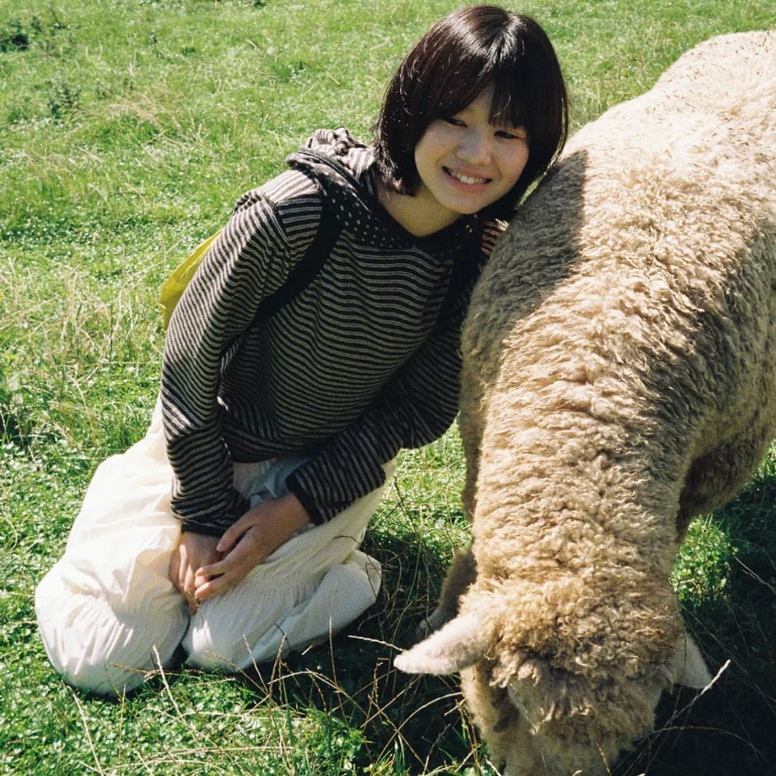 페스토 도트 스트라이프 후디 다크문 pesto stripe dot 상품이미지2