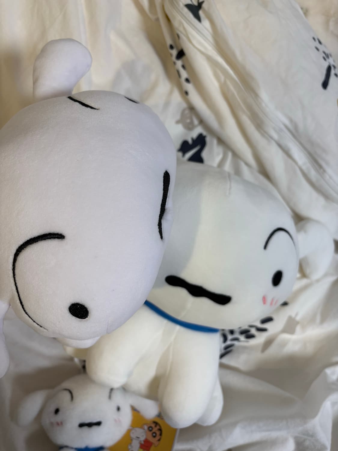 일괄) 짱구 흰둥이 인형 모찌 키링 산리오 리락쿠마  신짱 상품이미지2
