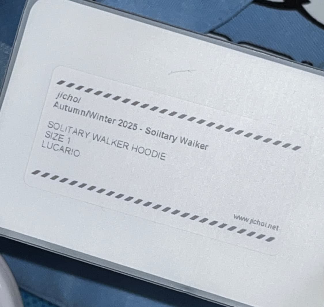 지초이 AW25 SOLITARY WALKER 후드티 상품이미지4