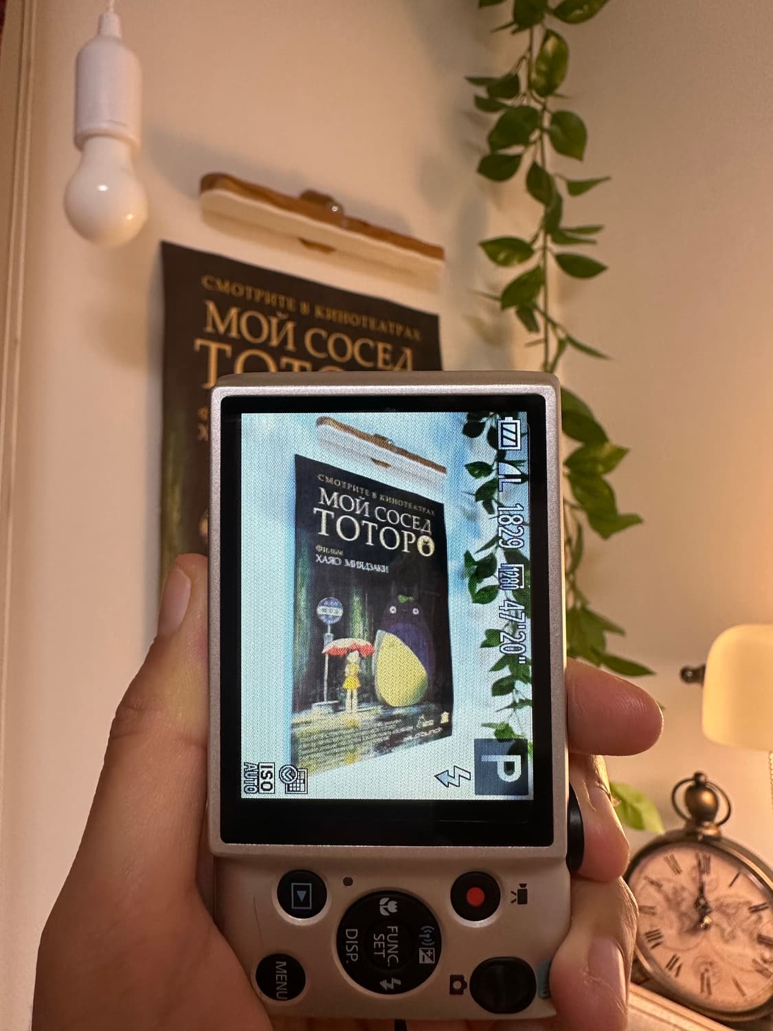 캐논 익서스 135 디카/디지털카메라 상품이미지3