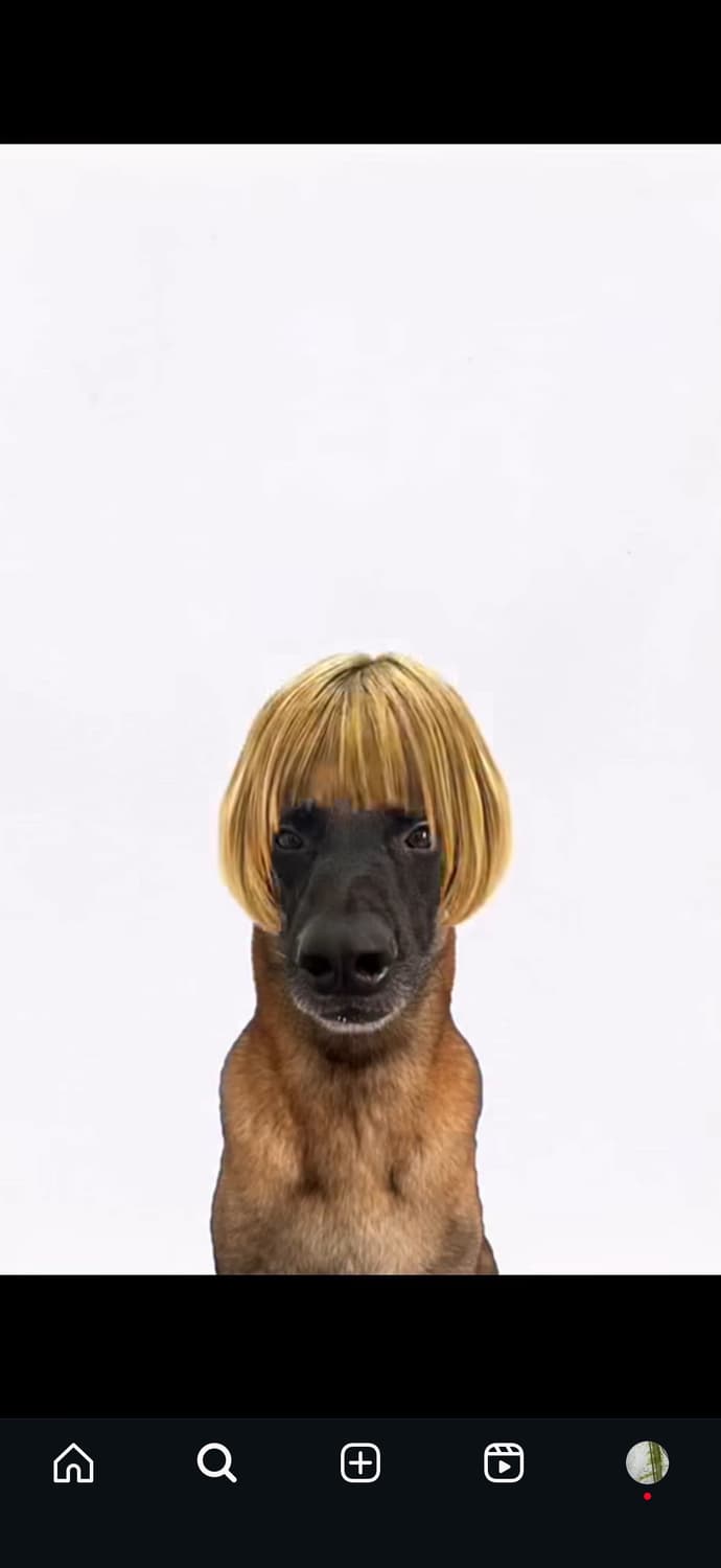 결제창 상품이미지1