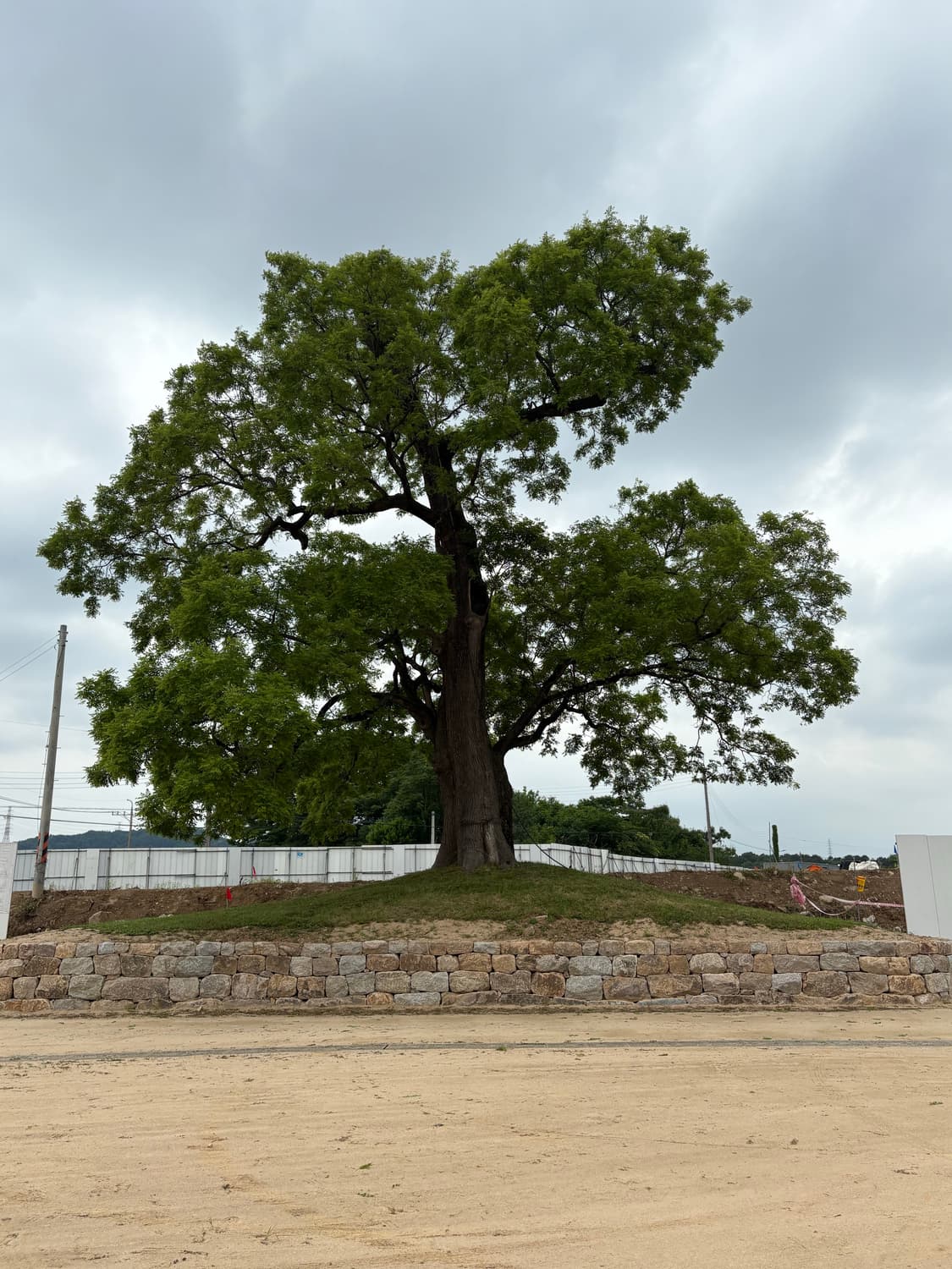 옷사는오리 상품이미지1