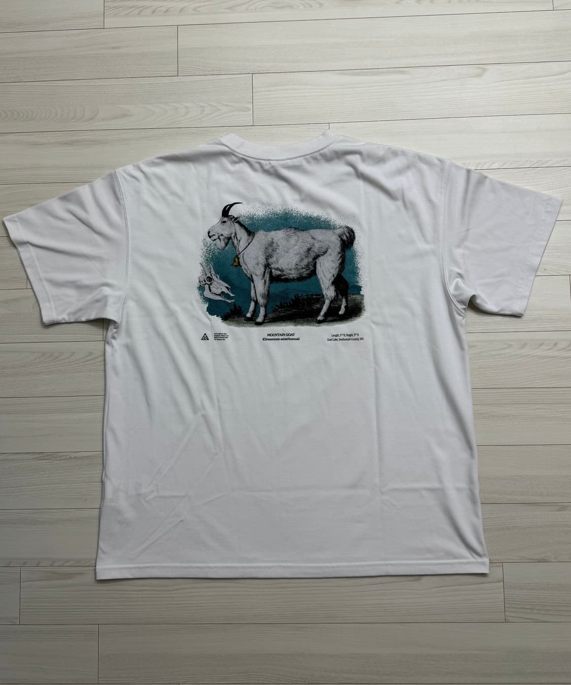 나이키 ACG 반팔 티셔츠 2XL 상품이미지4