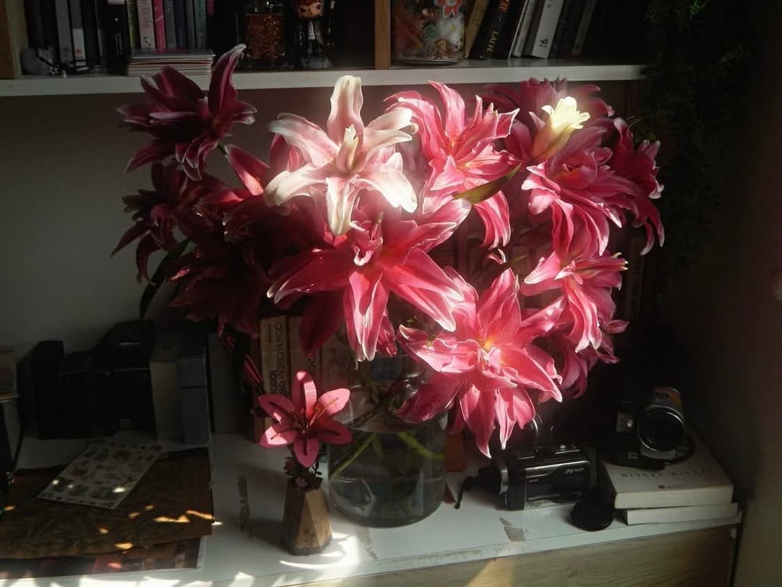 니콘 쿨픽스 AW100 | coolpix 110 120 130 상품이미지4