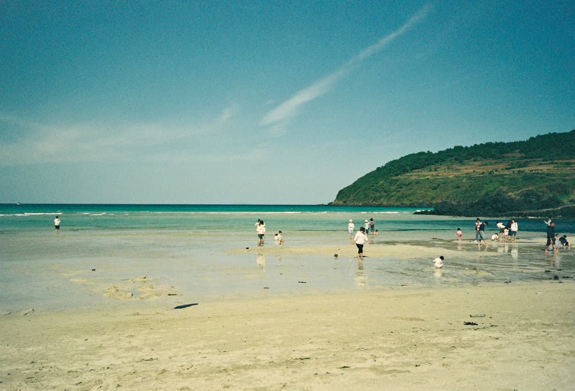 라이카 미니2 상품이미지9