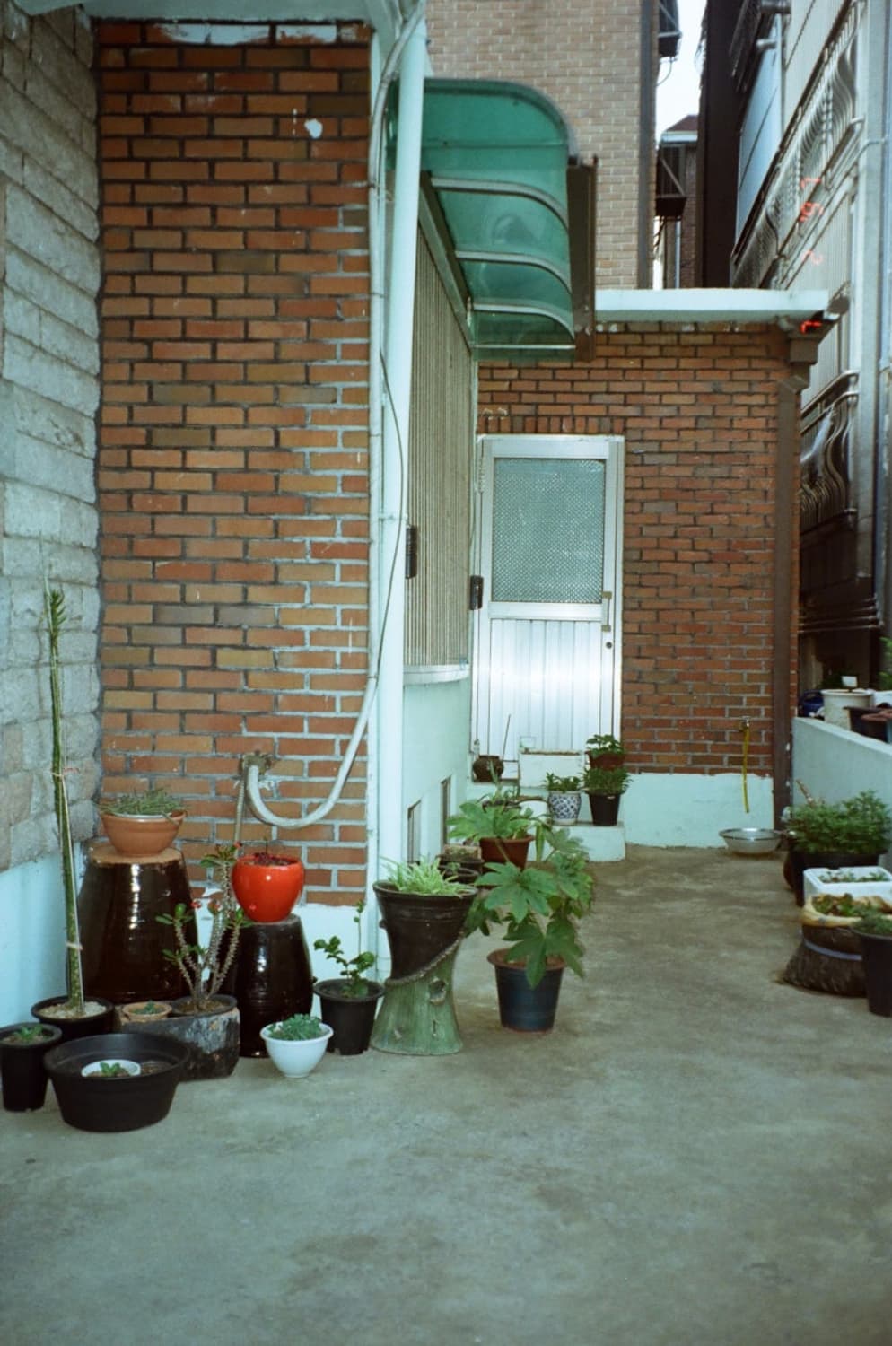 올림푸스 뮤 [mju:]-1 블랙 필름 카메라 상품이미지8