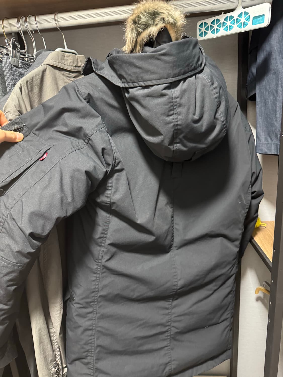 리바이스 패딩 상품이미지6