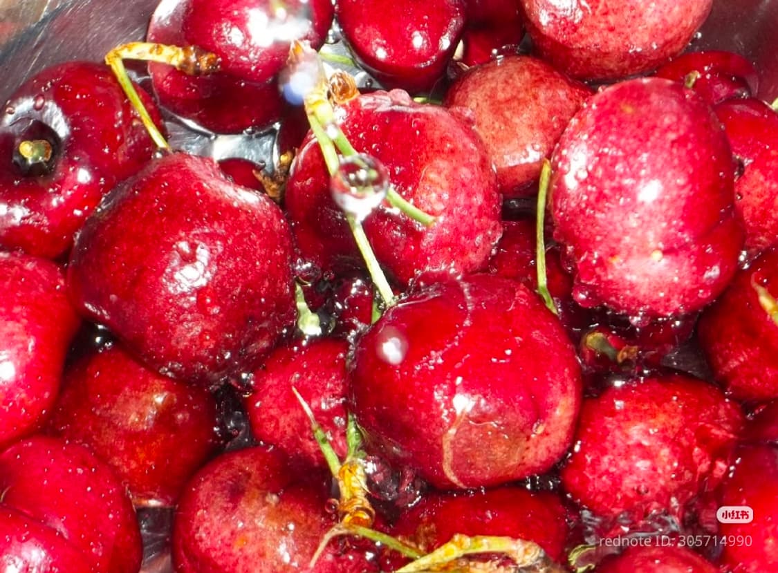 (키키 디카) 코닥 C195 Kodak C195  상품이미지4