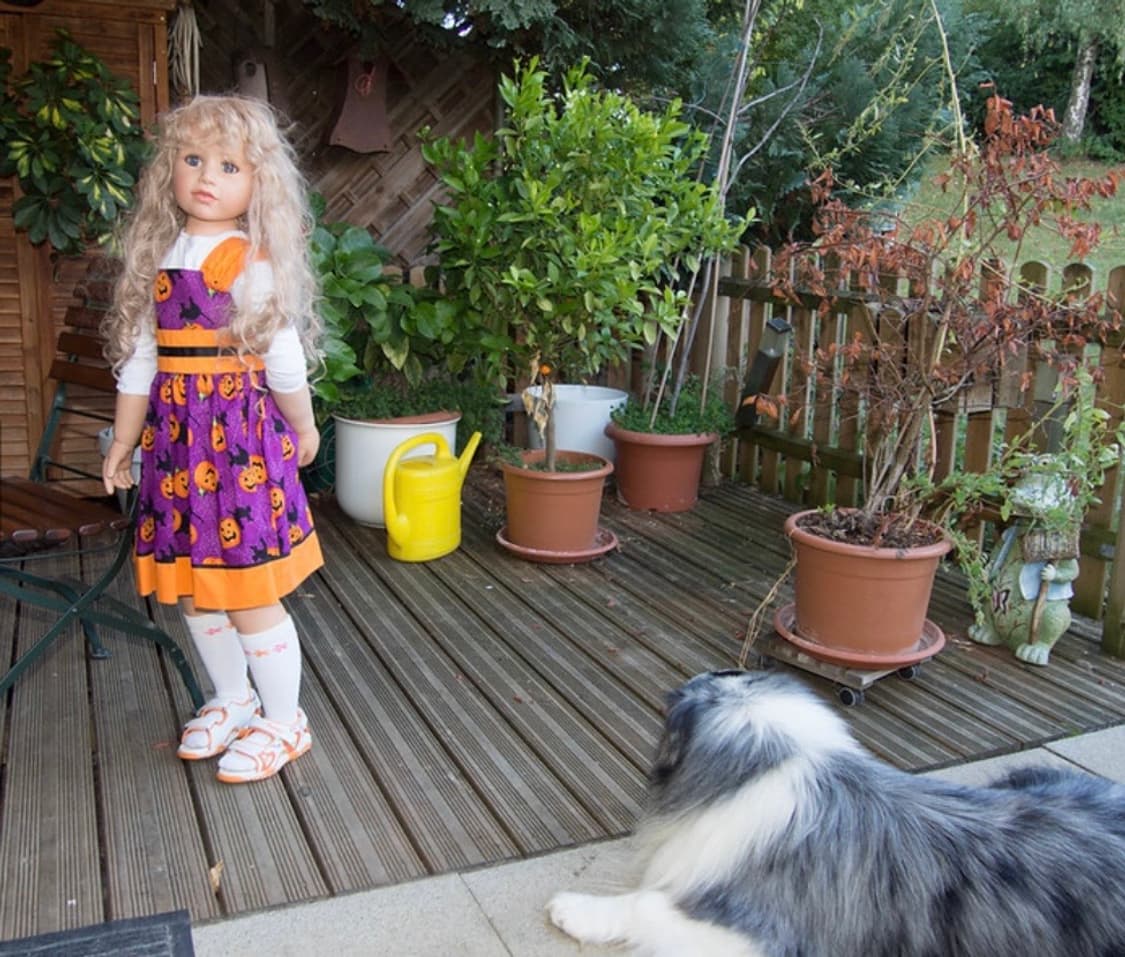 🌟📷 작례 포함 Olympus C-1 빈티지 감성 디카 🌟📷 상품이미지10