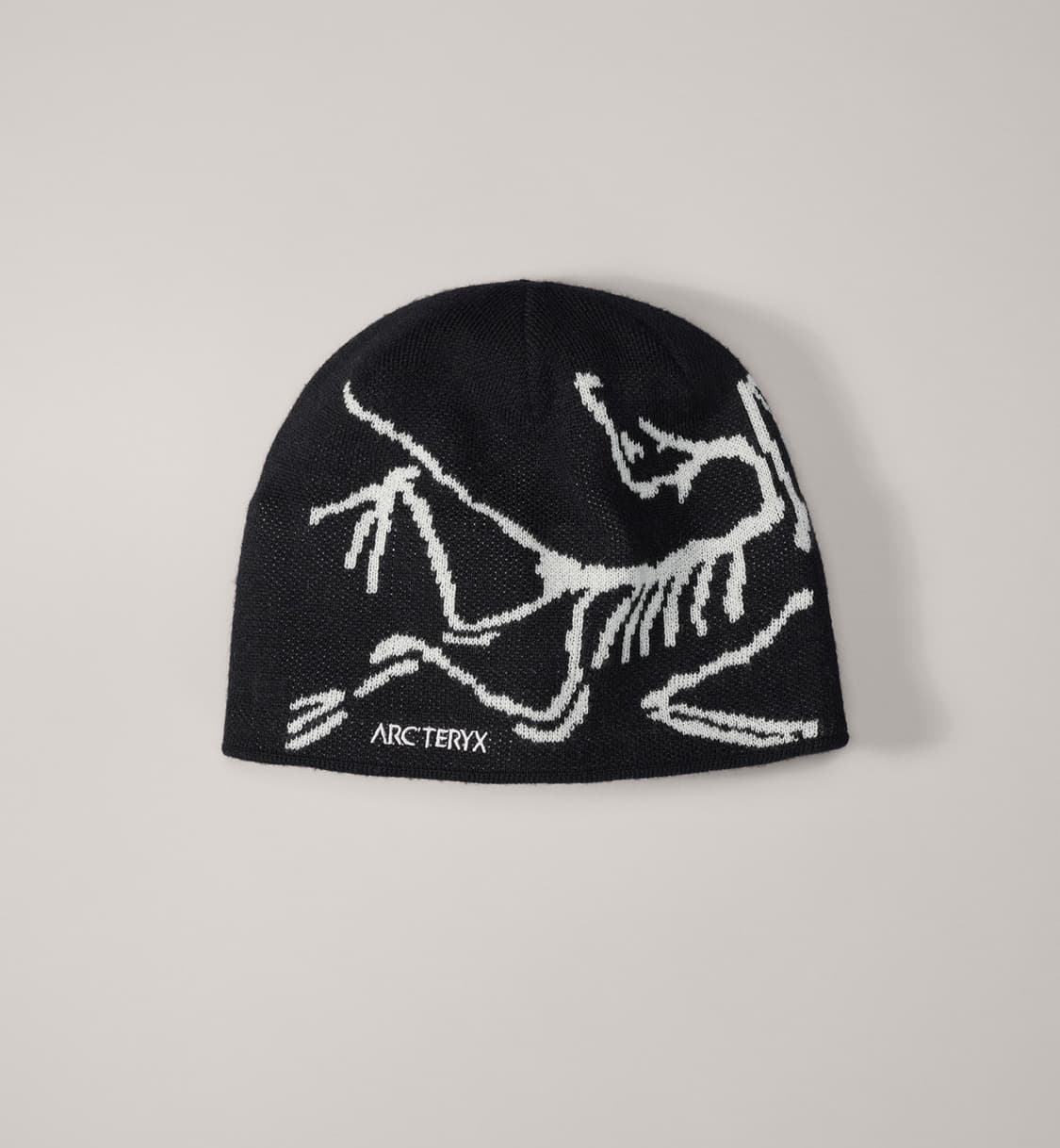 아크테릭스 버드 헤드 토크 상품이미지1