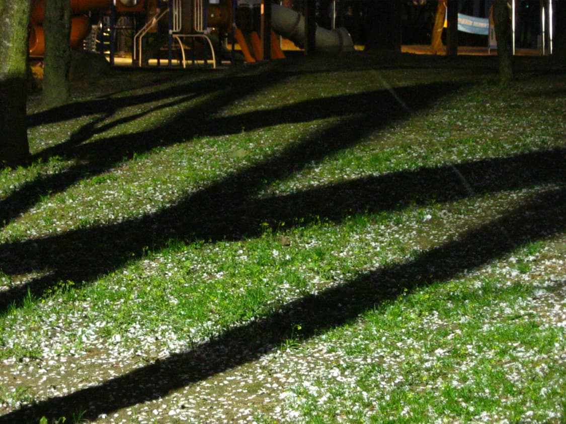 [바로사용가능/작례O] 캐논 파워샷 a3000is 빈티지 디카 상품이미지10