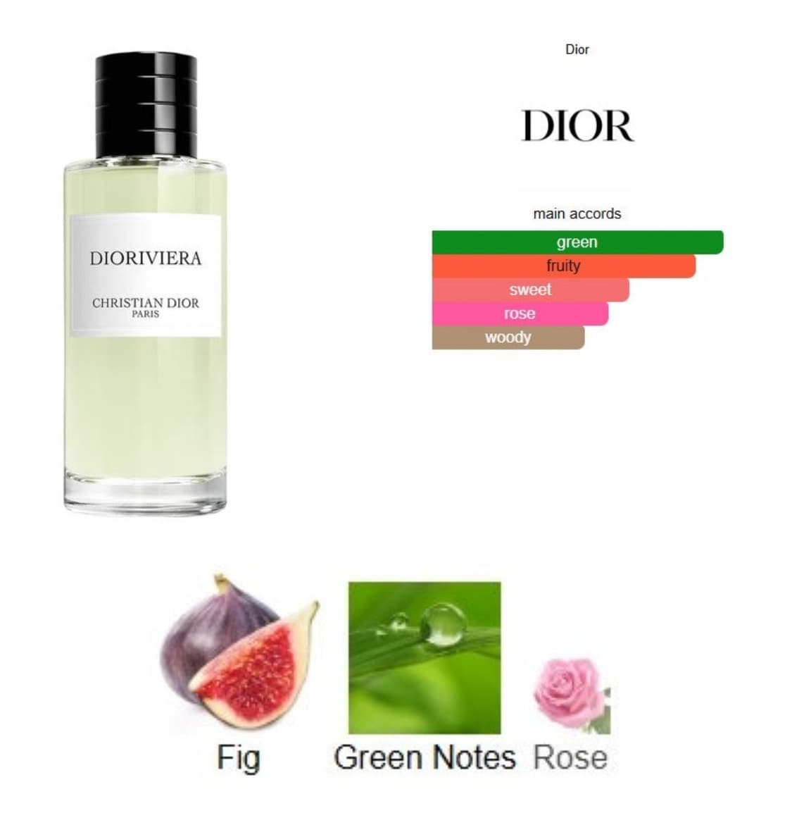 디올 라콜렉시옹 디올리비에라 향수 50ml 국문 상품이미지6