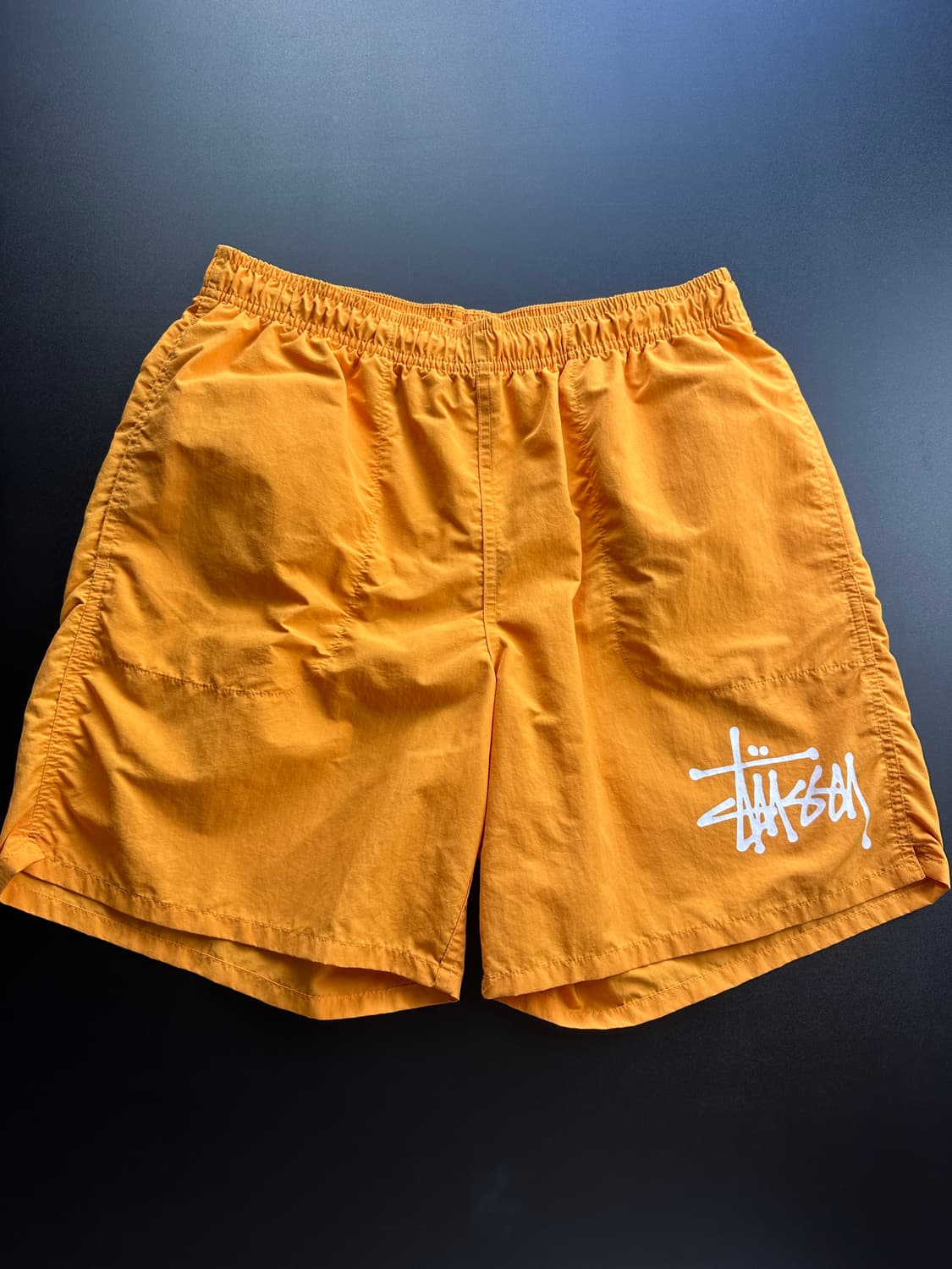 Stussy beach shorts 상품이미지1