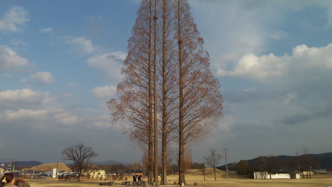 코닥 플레이터치 z10 상품이미지9