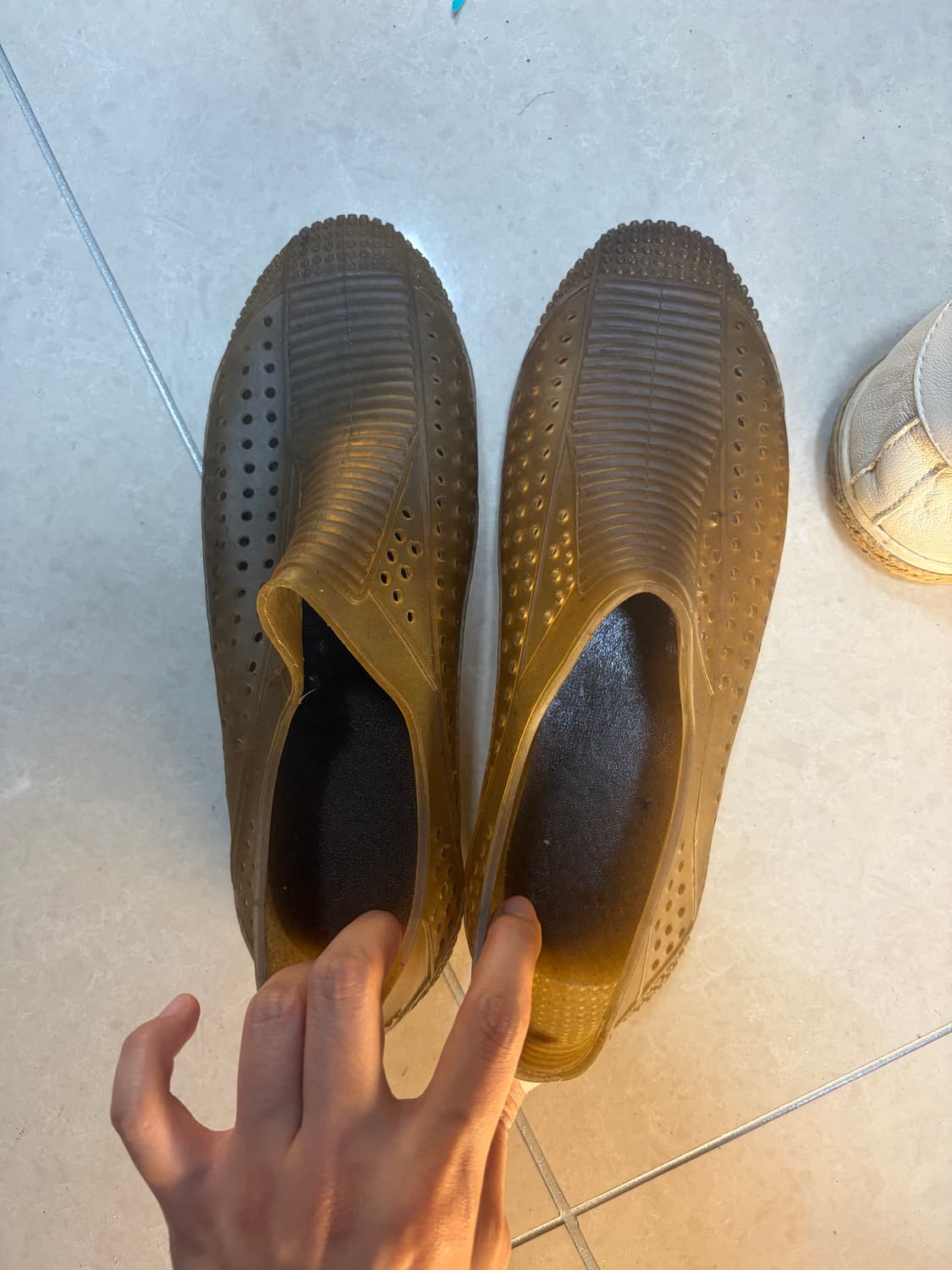 플라스티카나 39 상품이미지3