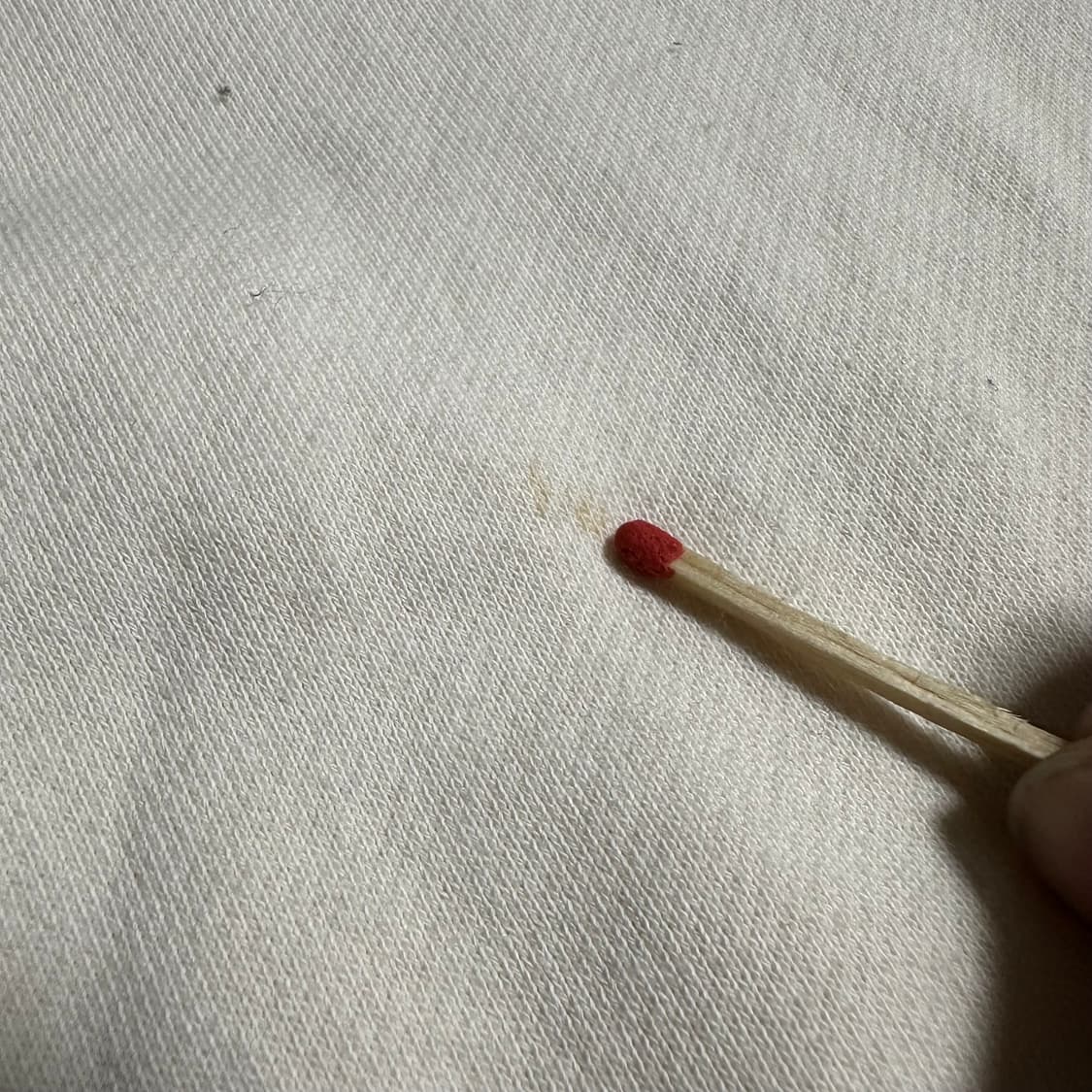 Santa Cruz 레오파드 로고 크롭 맨투맨 상품이미지8