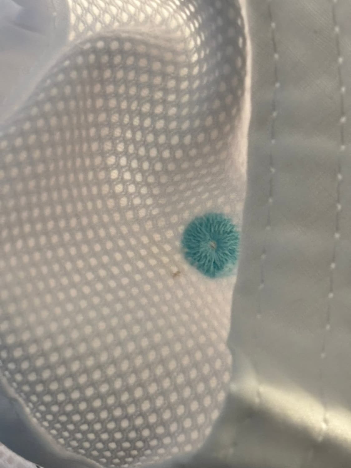 인오도르 모자 화이트&블루🩵🤍 상품이미지2