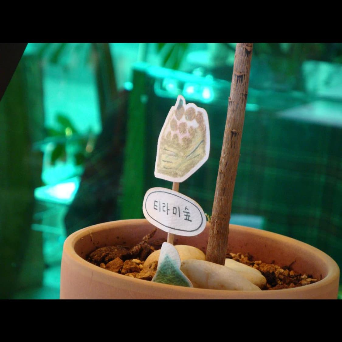 작례⭕️  사이버샷 DSC-W170 상품이미지3