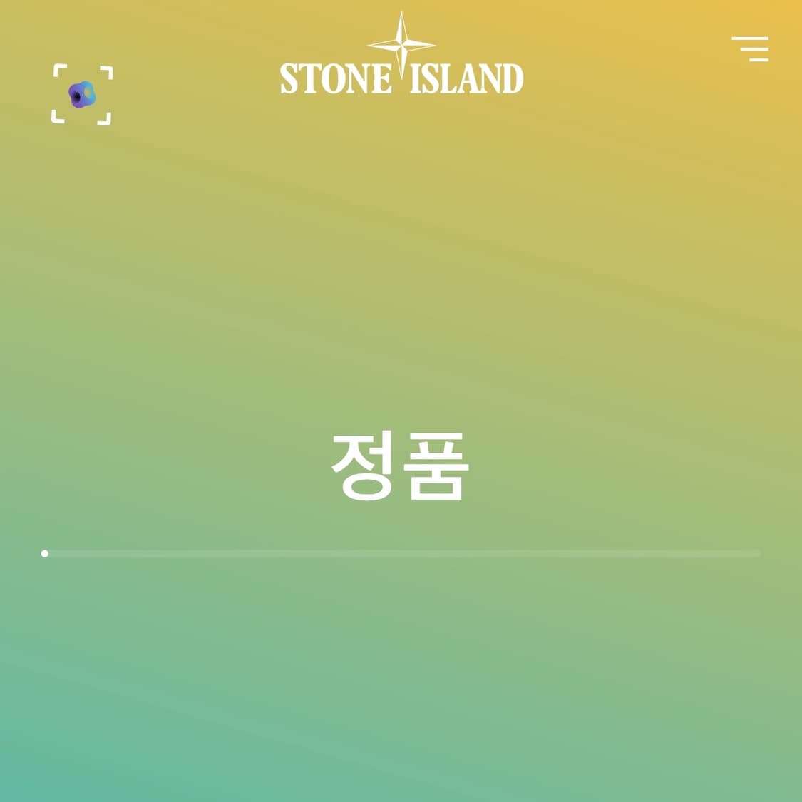 스톤아일랜드 20FW 룸우븐 후드 경량패딩(L) 상품이미지7