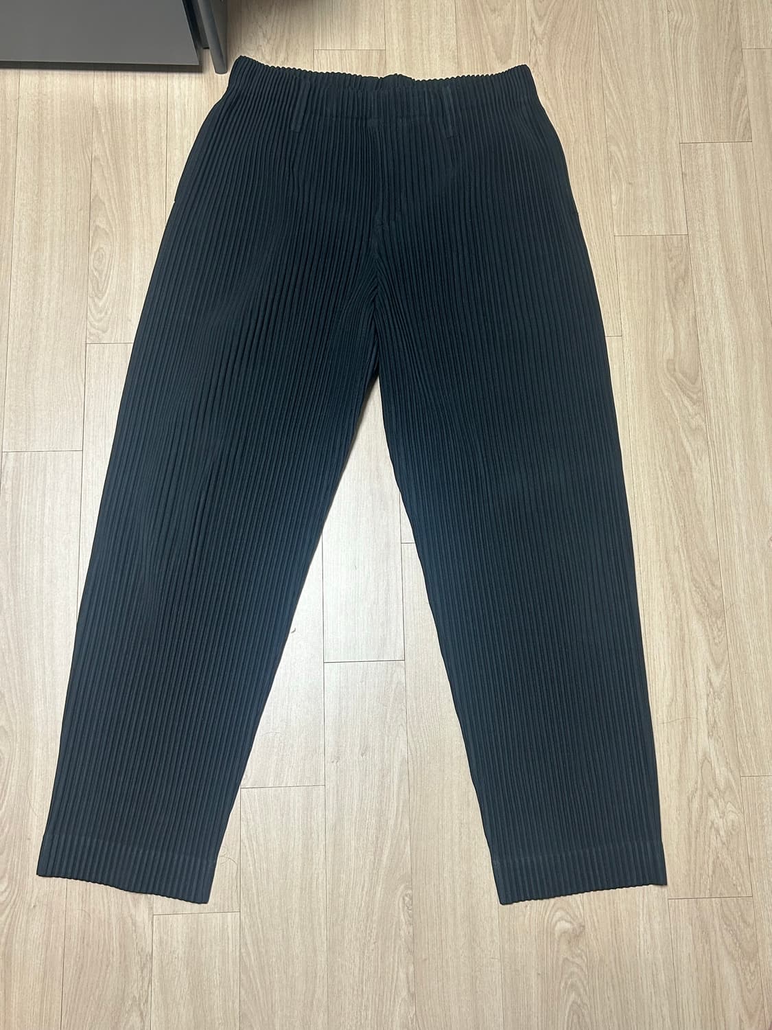 이세이 미야키 옴므 플리세 팬츠 상품이미지1