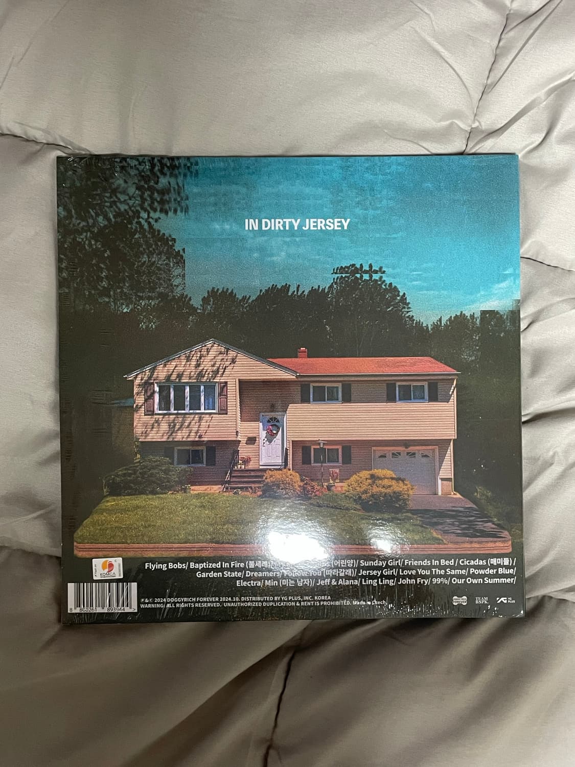 검정치마lp 틴트러블스 상품이미지1