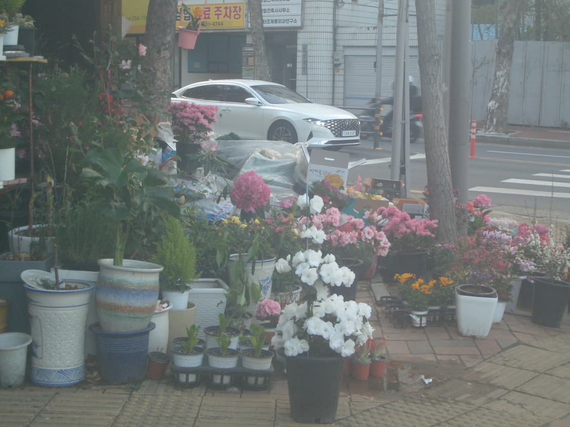 카시오 엑슬림 z40 블루 상품이미지3