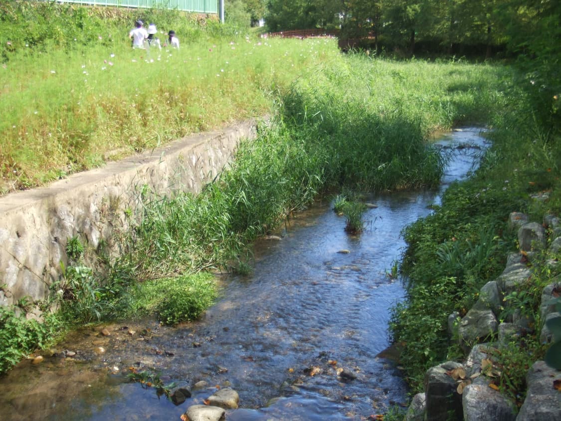 후지필름 파인픽스 z1 fujifilm finepix z1 상품이미지7